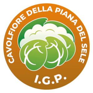 Cavolfiore della Piana del Sele